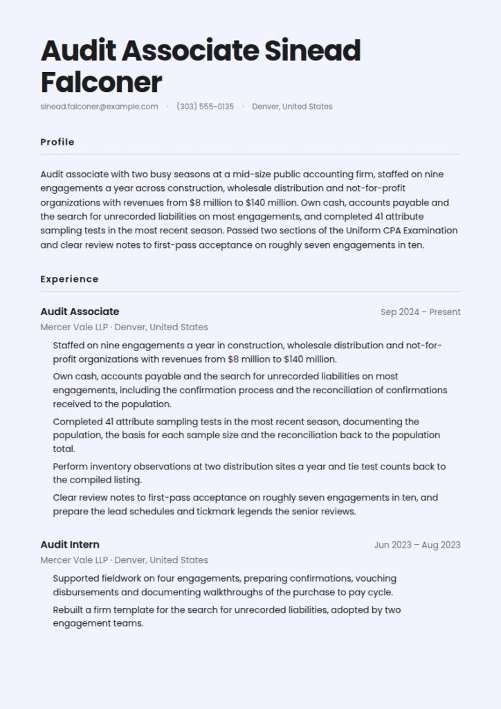 Auditor Resume Examples & Templates
