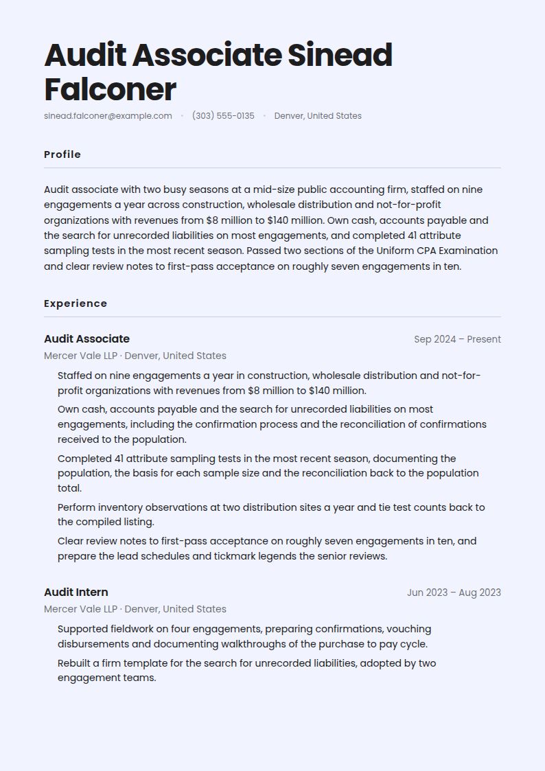 Auditor Resume Examples & Templates