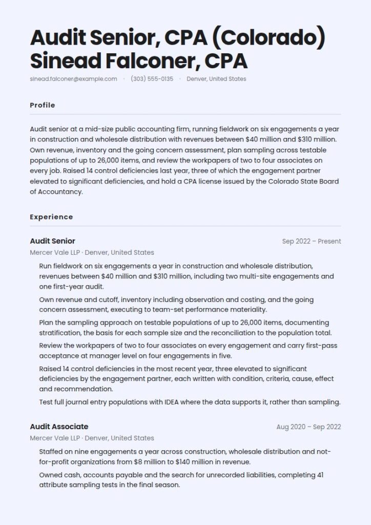 Auditor Resume Examples & Templates