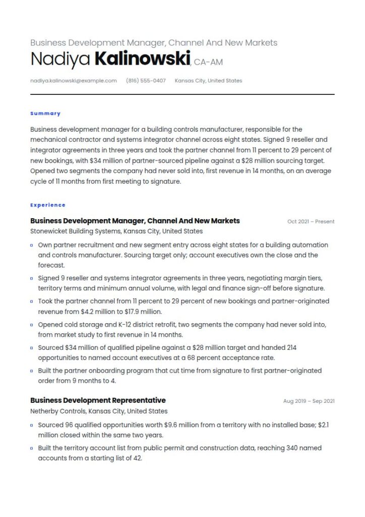 Business Development Manager Resume Examples & Templates