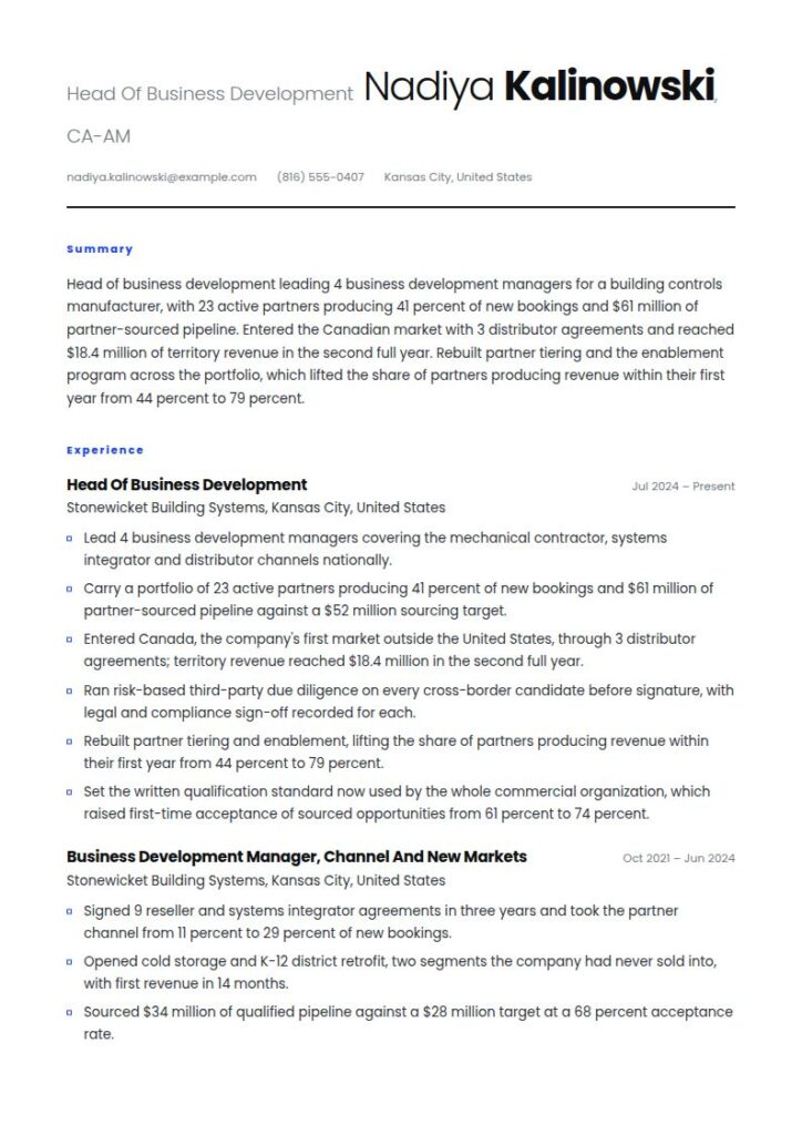 Business Development Manager Resume Examples & Templates