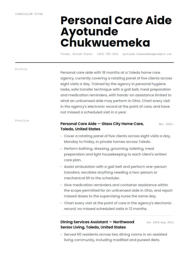 Caregiver Resume Examples & Templates