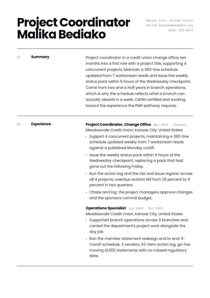 Entry Level Project Management Resume Examples & Templates