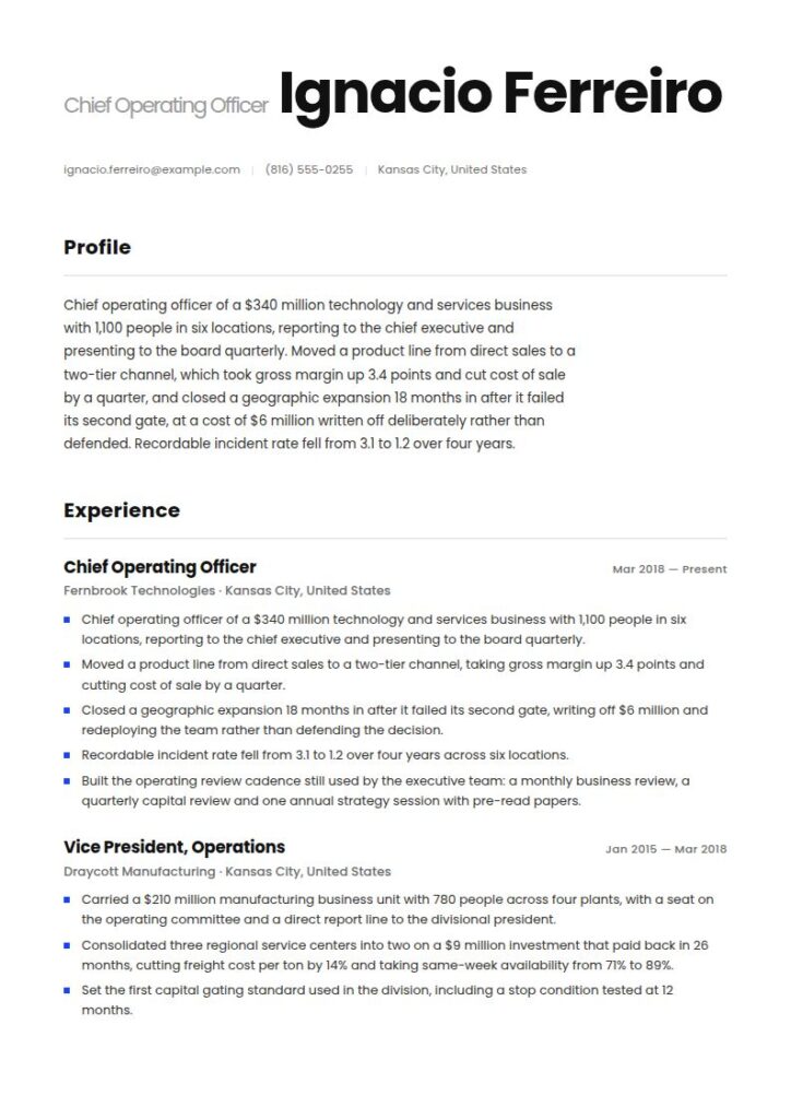 Executive Resume Examples & Templates