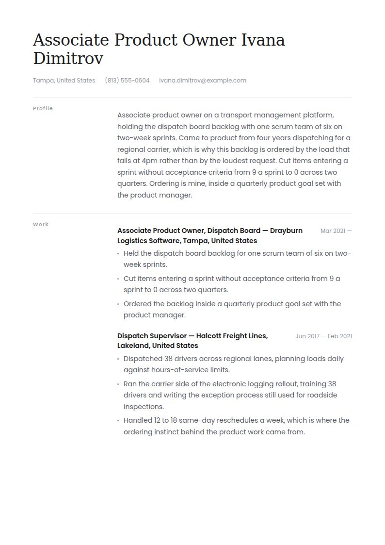 Product Owner Resume Examples & Templates