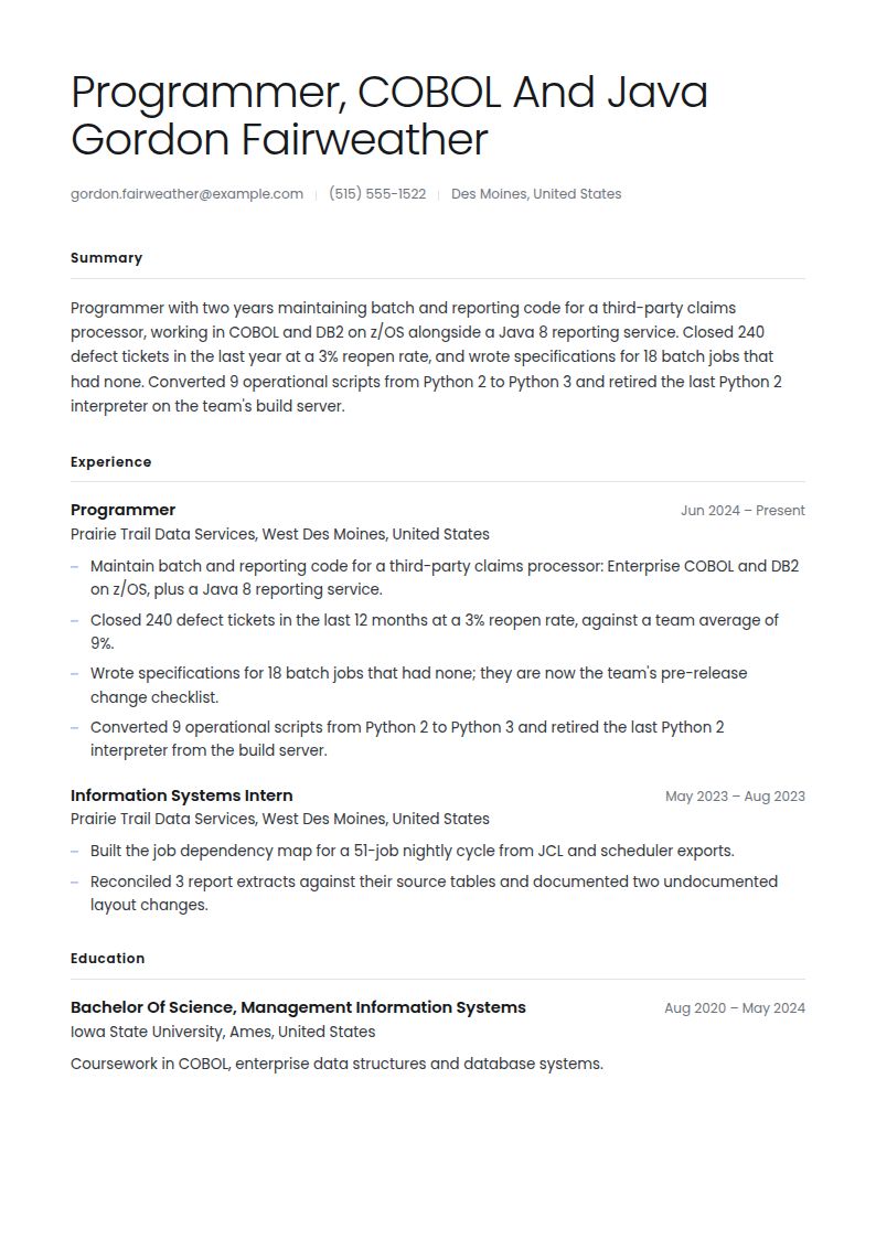 Programmer Resume Examples & Templates