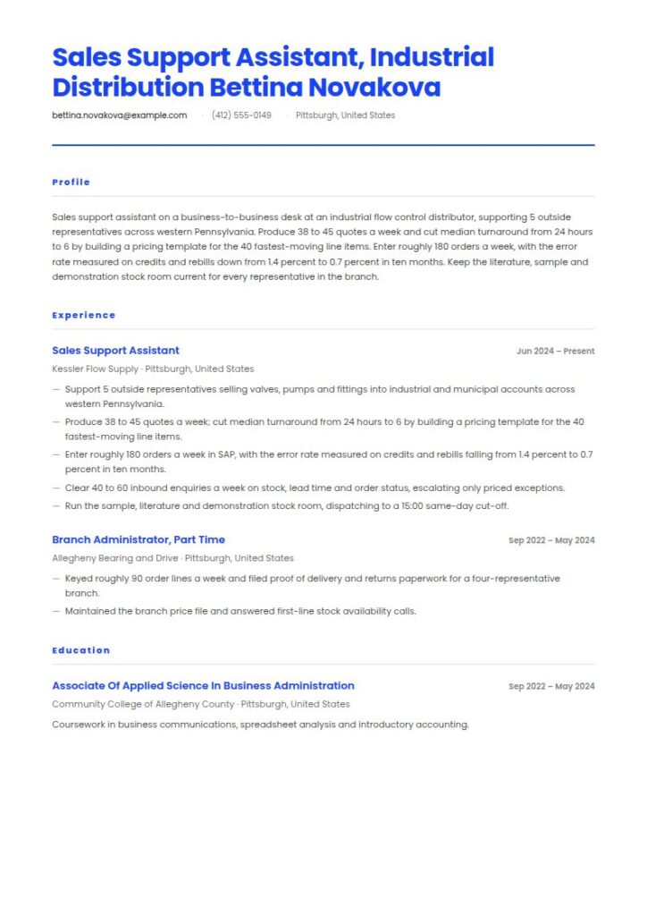 Sales Assistant Resume Examples & Templates