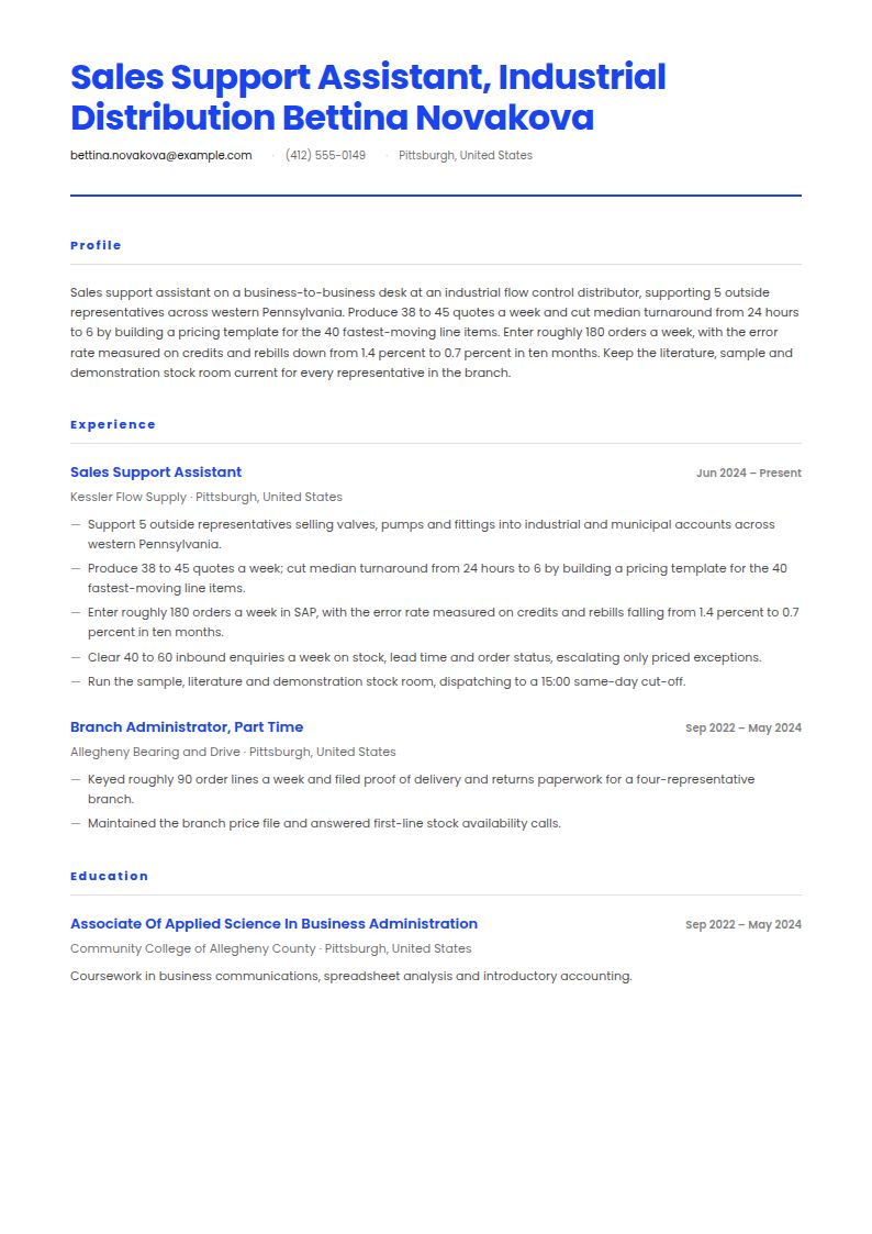 Sales Assistant Resume Examples & Templates