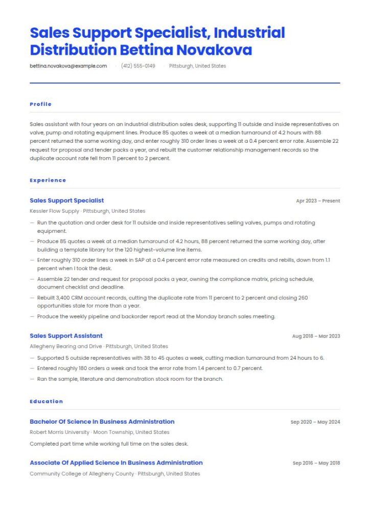 Sales Assistant Resume Examples & Templates