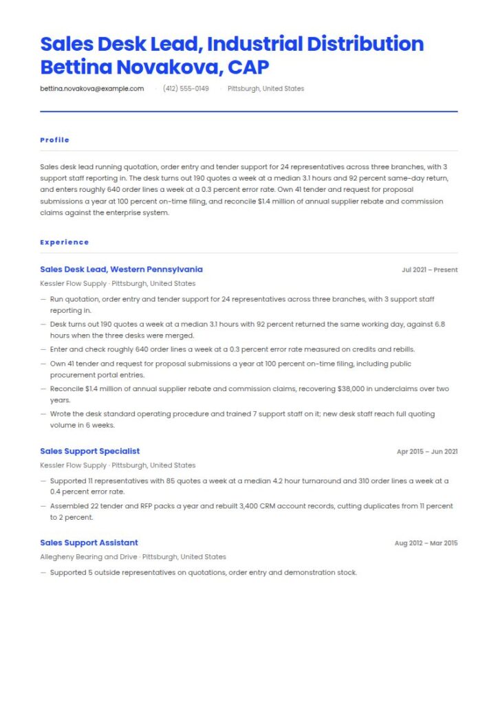 Sales Assistant Resume Examples & Templates