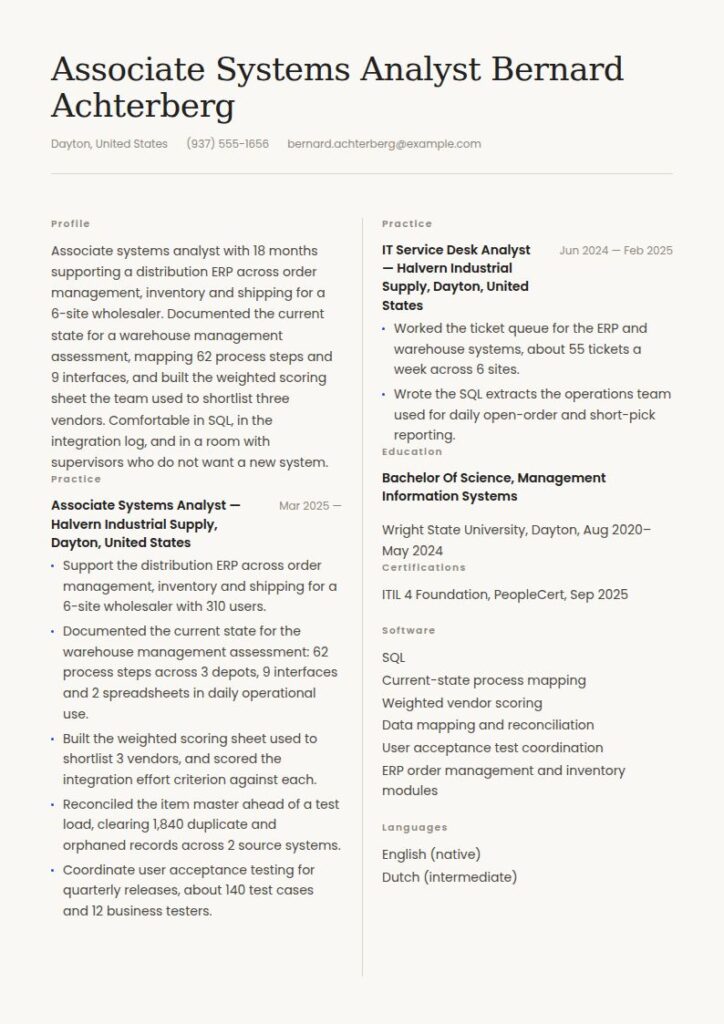 Systems Analyst Resume Examples & Templates