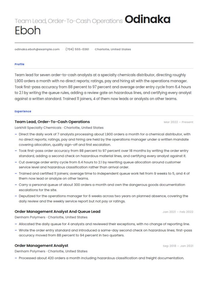 Team Lead Resume Examples & Templates