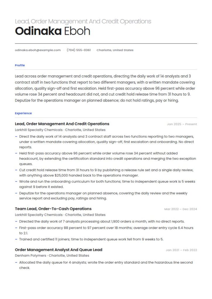Team Lead Resume Examples & Templates
